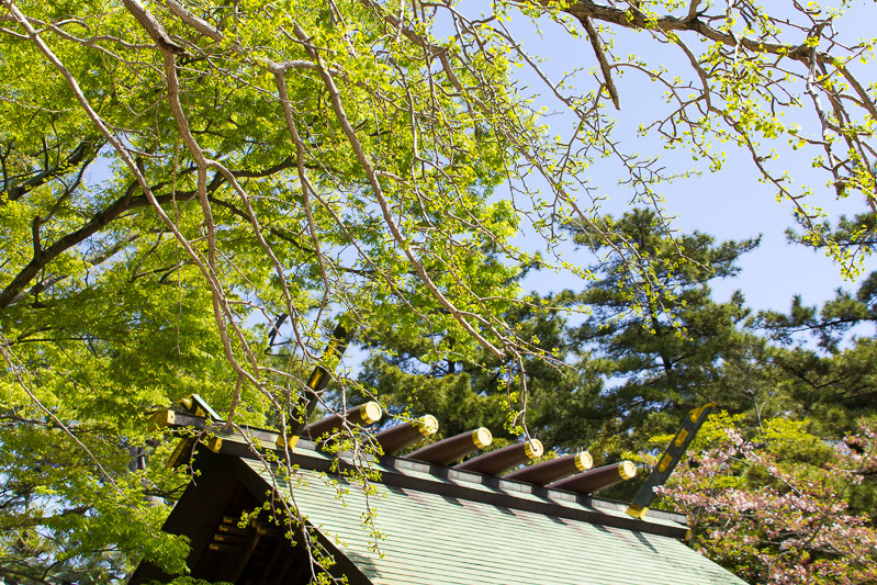 天御柱宮例祭