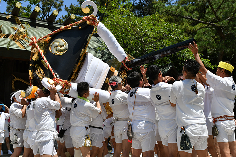 八剱神社例祭 湊町神輿