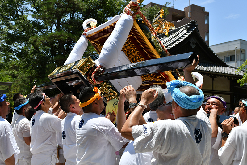 八剱神社例祭 湊町神輿