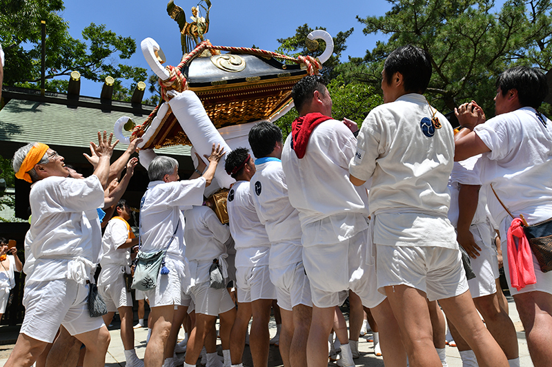 八剱神社例祭 湊町神輿