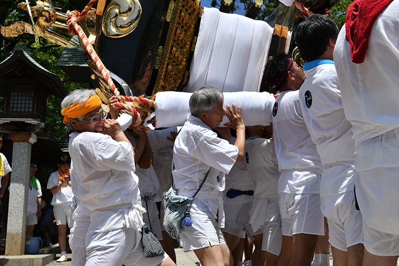 八剱神社例祭 湊町神輿