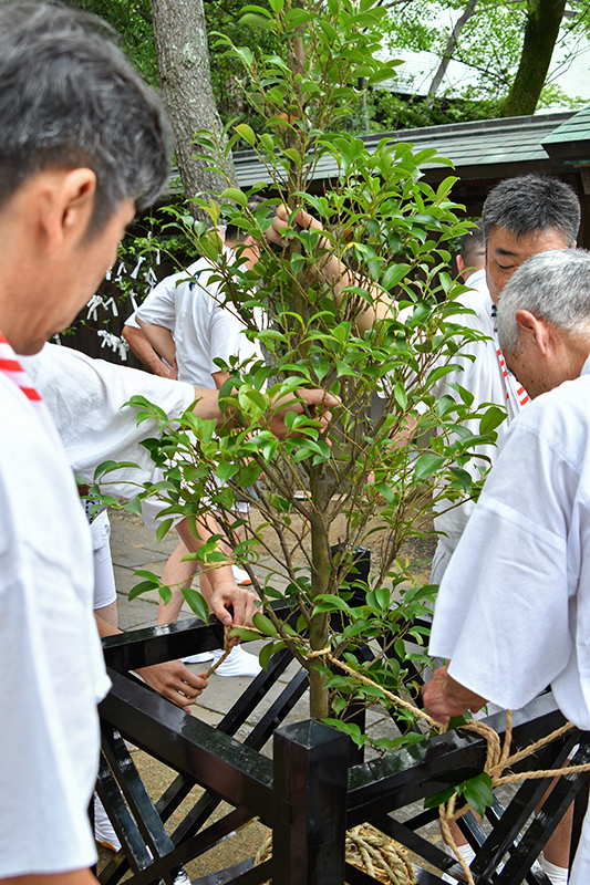 八坂神社例祭並びに出御の儀