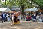 例大祭 相撲奉納