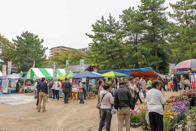 船橋大神宮朝市