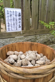 豊受姫神社（外宮）の歯固め石